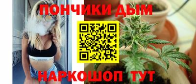крисы Ливны