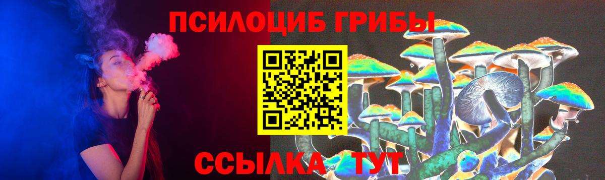 Будённовск  Псилоцибиновые грибы Psilocybe  Вход с VPN 